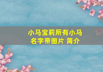 小马宝莉所有小马名字带图片 简介